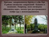 Братские захоронения в д. Крутец и в Дм. Горе В районе множество захоронений – больших и маленьких. Например, около платформы «Московское море», могила трех расстрелянных в ноябре 1941 г. железнодорожников.