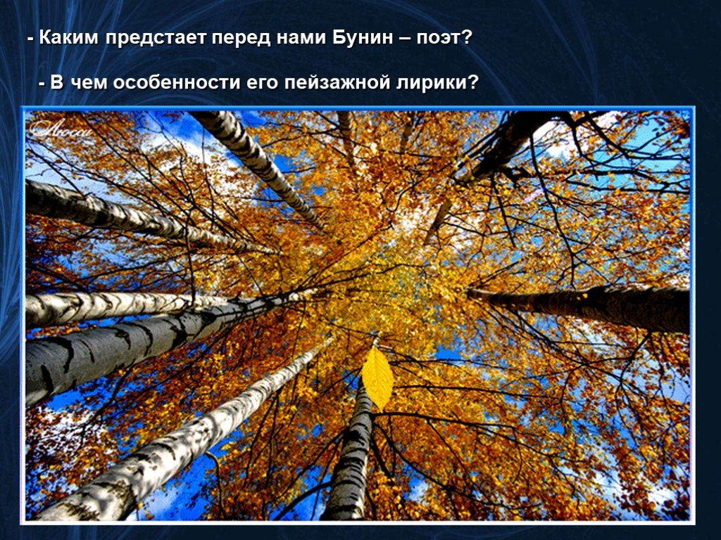 Каким предстает перед. Иван Бунин Северная береза. Пейзажная лирика Бунина. Особенности пейзажной лирики Бунина. Бунин поэт печальный и суровый.