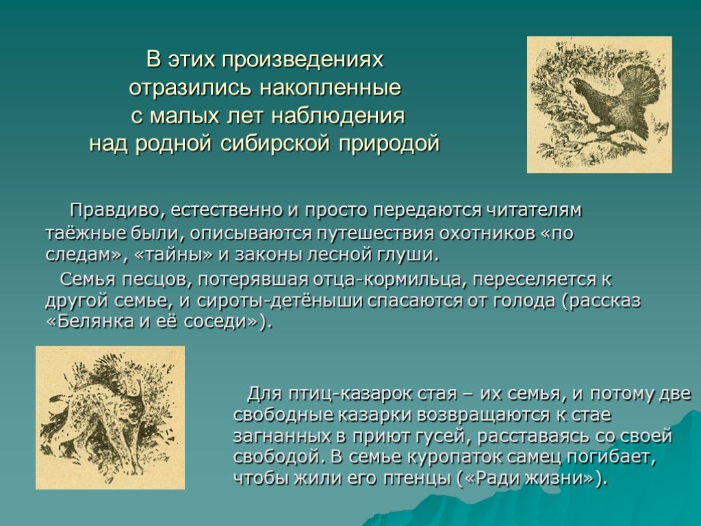 Произведение отражений. Н С Устинович ради жизни. Рассказ ради жизни. Произведения н с Устиновича. Сочинение на тему природа Сибири.