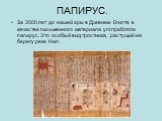ПАПИРУС. За 3500 лет до нашей эры в Древнем Египте в качестве письменного материала употребляли папирус. Это особый вид тростника, растущий на берегу реки Нил.