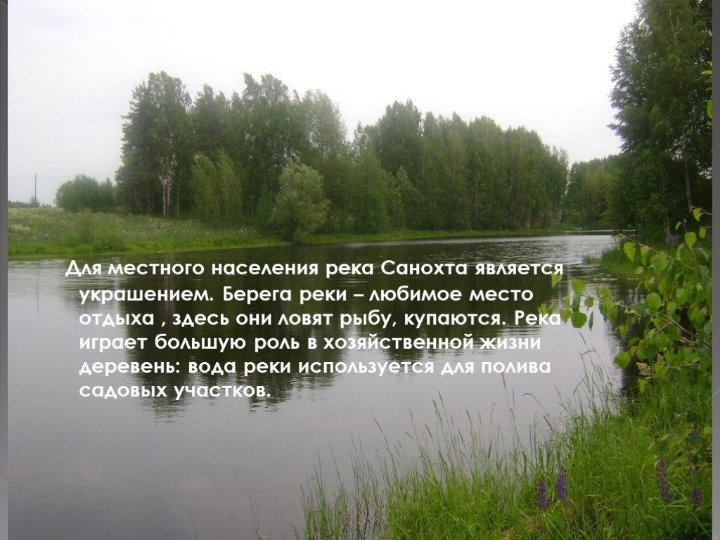 Население рек. Река Санохта. Здесь Родины моей начало стихи. Моя любимая речка. Презентация на тему моя любимая речка.