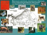Животные и растения, занесенные в Красную книгу Саратовской области обитающие на территории Марксовского района.