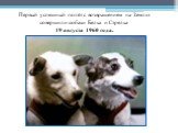 Первый успешный полёт с возвращением на Землю совершили собаки Белка и Стрелка 19 августа 1960 года. Собаки-космонавты Белка и Стрелка