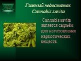 Главный недостаток Cannabis savita. Cannabis savita является сырьём для изготовления наркотических веществ.
