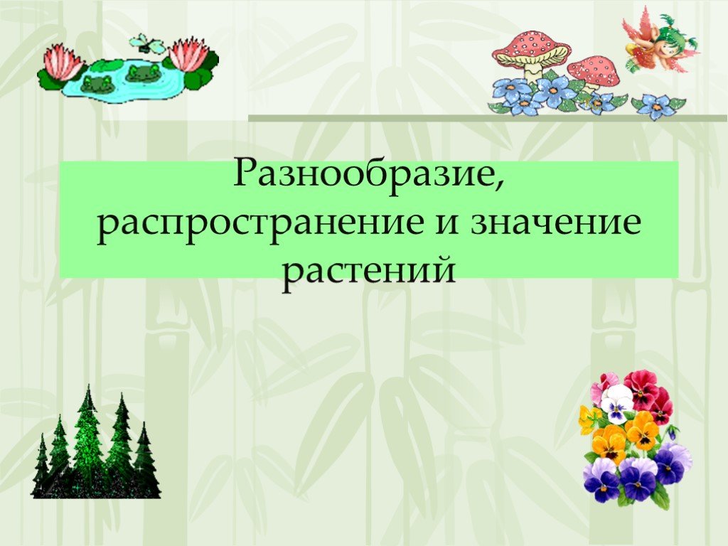 Презентация на тему разнообразие. Разнообразие и значение растений. Многообразие и распространение растений. Разнообразие и распространение растений 5 класс. Проект на тему разнообразие распространение, значение растений.