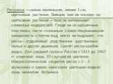 Рясковые – самые маленькие, менее 1 см, цветковые растения. Внешне они не похожи на цветковые растения – тело их напоминает слоевище водорослей. Глядя на их крошечные пластинки, часто сплошным слоем покрывающие поверхность стоячих вод, никто не подумает, что ряска – отдалённый родственник царственны