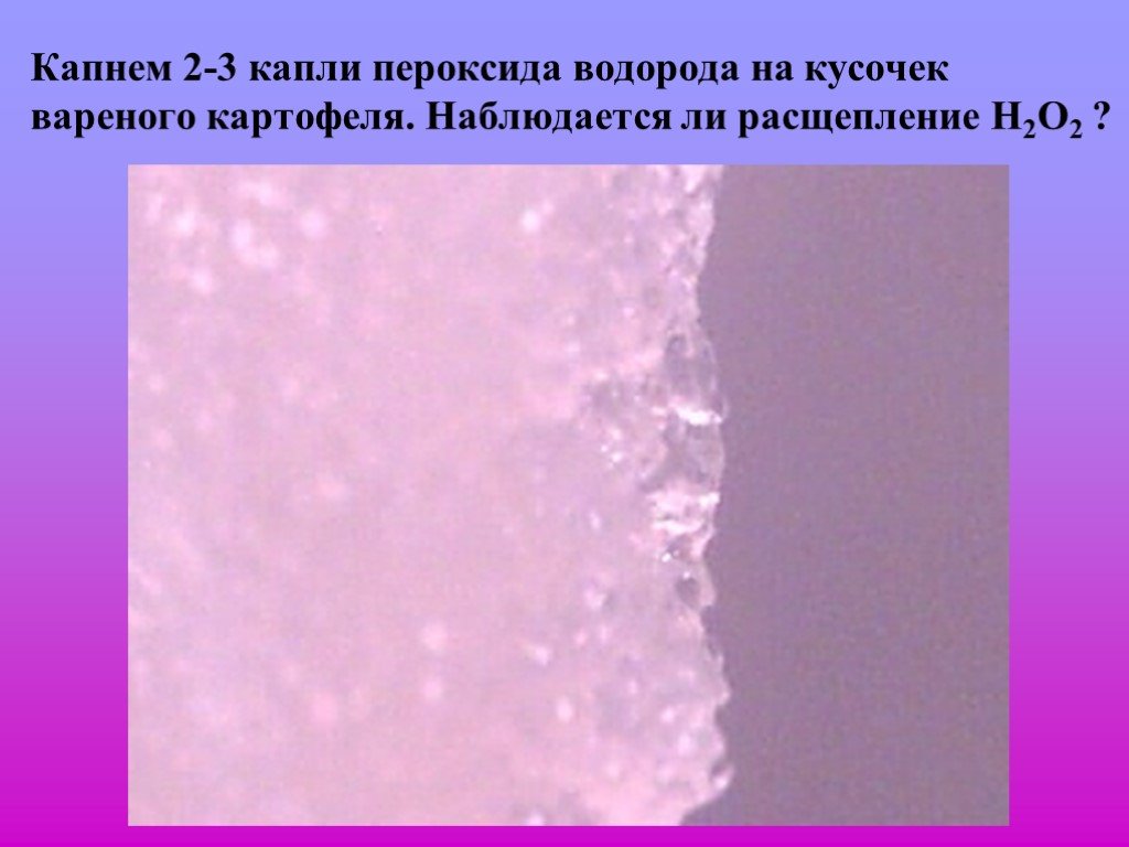 Каталитический пероксид водорода. Перекись водорода под микроскопом. Расщепление перекиси водорода. Пероксид водорода (н2о2). Расщепление пероксида водорода ферментом каталазой.