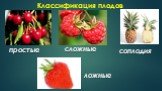 Классификация плодов. простые сложные соплодия ложные