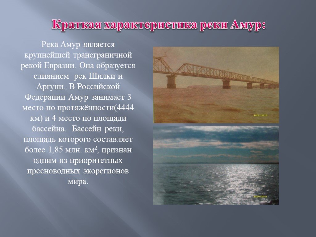 Положение реки амур в россии