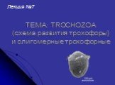 ТЕМА: TROCHOZOA (схема развития трохофоры) и олигомерные трохофорные. Лекция №7