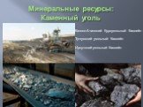Минеральные ресурсы: Каменный уголь. Канско-Ачинский буроугольный бассейн Тунгусский угольный бассейн Иркутский угольный бассейн