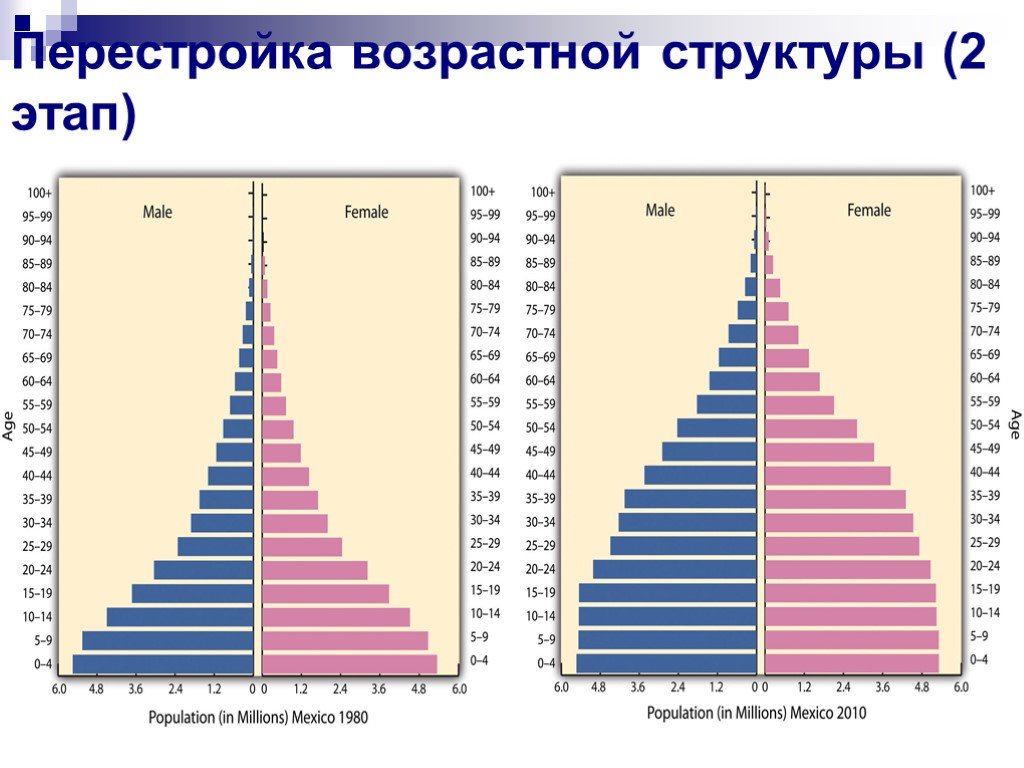 Возрастная структура норвегии