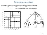 208. Тетрарные деревья. Пример: Однородное точечное тетрарное дерево Обозначения: ЮЗ – юго-запад, ЮВ – юго-восток, НЗ – северо-запад, НВ – северо-восток