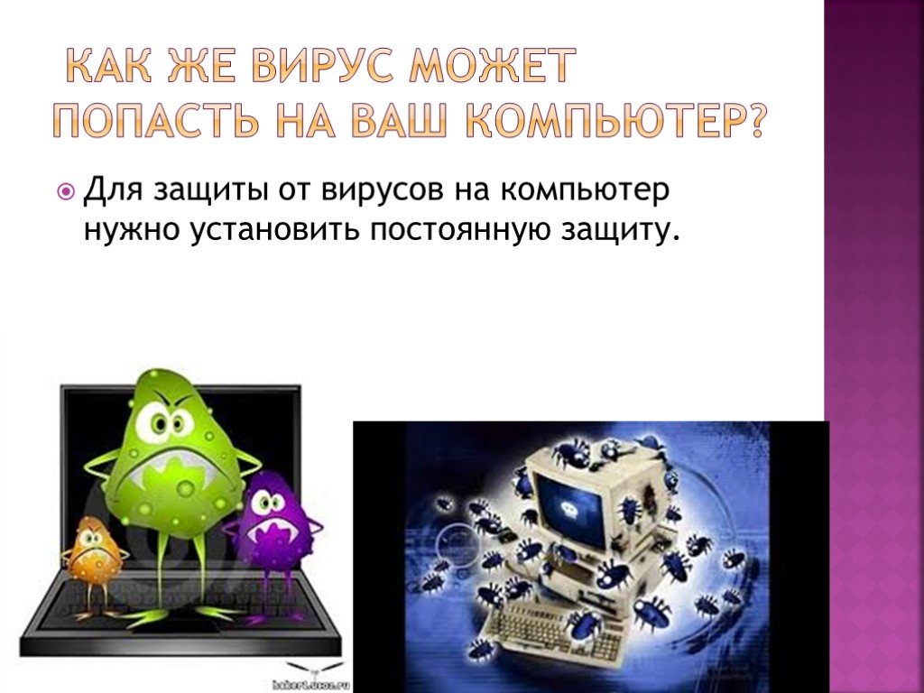 Компьютерные вирусы проект по информатике 8 класс