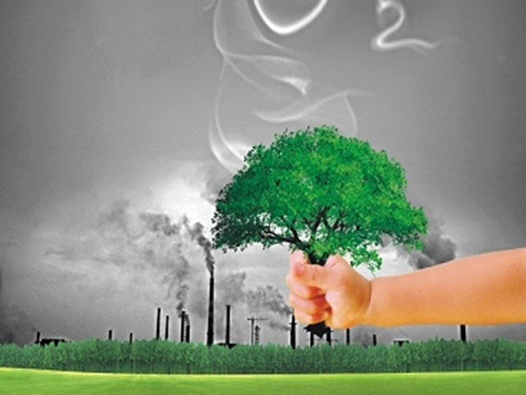 Очищение воздуха деревьями. Защита природы. Защита и охрана окружающей среды. Защита экологии. Экология воздуха.