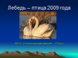 Лебедь – птица 2009 года. МОУ «Большечурашевская СОШ»