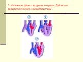 3. Назовите фазы сердечного цикла. Дайте им физиологическую характеристику.