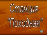 Станция "Походная"