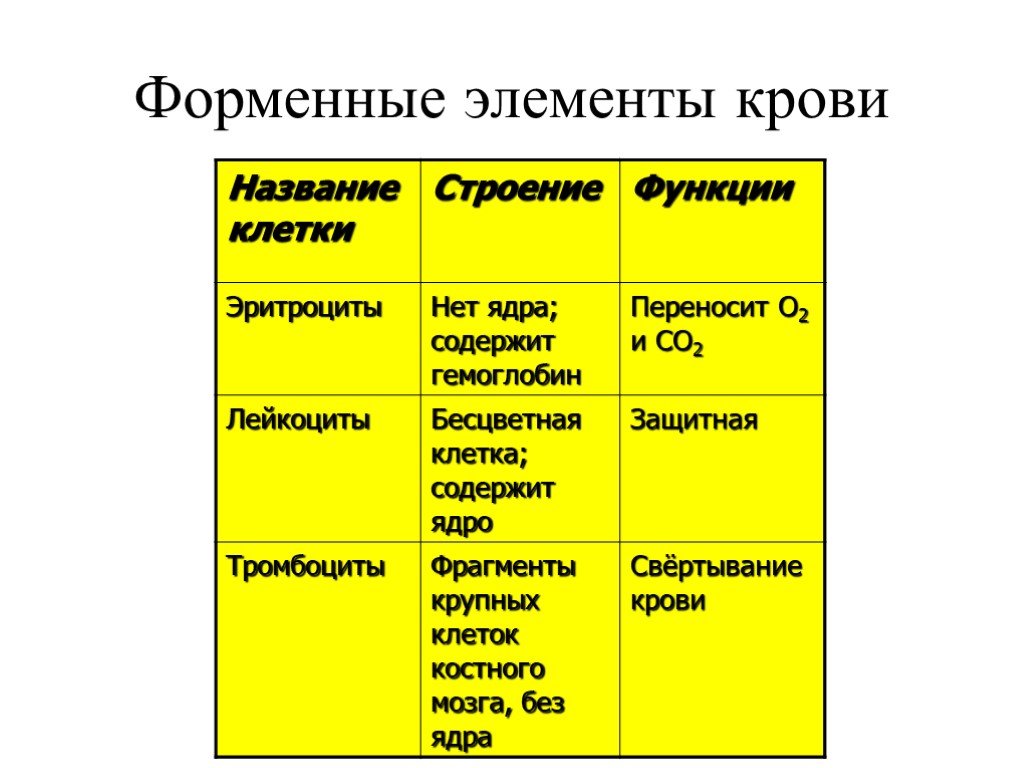 Форменные элементы крови презентация