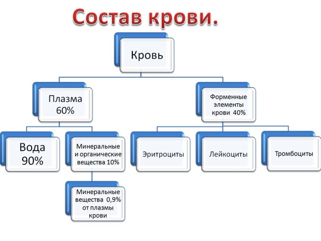 Графологическая схема состав крови