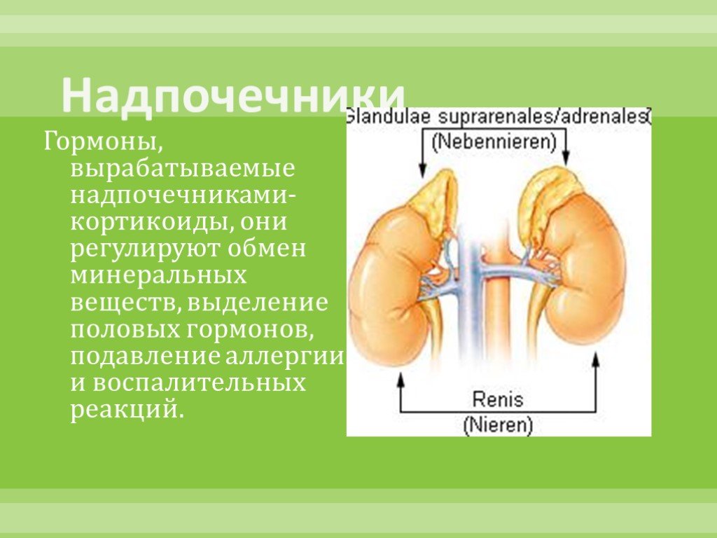 Что вырабатывается в надпочечниках