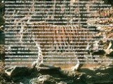 В конце XIX в. область постоянного обитания амурского тигра простиралась до левобережья Амура. Северная граница ареала протягивалась от западных предгорий Малого Хингана к устью р. Горин. В последующем ареал тигра начал значительно сокращаться, главным образом на севере, и к 1940 г. его граница смес