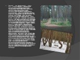 Природный мир Калининградской области богат и своеобразен. Уникальный национальный природный парк "Куршская коса" известен далеко за пределами области как место необычайно красивого природного ландшафта. Самые распространенные породы деревьев в нашей области - ель, сосна, дуб, береза, клен