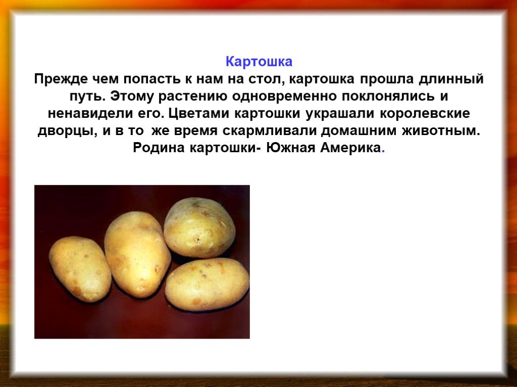 Подбери к слову картофель. Факты о картошке. Интересные факты о картофеле. Оттенки картофеля. Интересные факты о картошке.