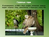 Галичья гора В заповеднике в 1990 г. был создан питомник редких видов хищных птиц, занесённых в Красную книгу РФ.