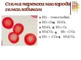 Схема переноса кислорода гемоглобином. Hb - гемоглобин Hb+O2 HbO2 HbO2 Hb+O2 HbCO2 Hb + CO2 Hb + CO2	HbCO2