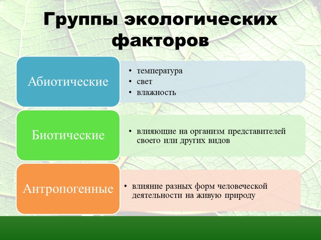 Три главных фактора. Группы экологических факторов. Экологические факторы. 3 Группы экологических факторов. Перечислите группы экологических факторов.