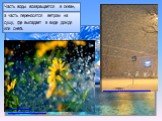 Часть воды возвращается в океан, а часть переносится ветром на сушу, где выпадает в виде дождя или снега. http://www.zastavki.com/rus/Nature/Sea/wallpaper-43077.htm. http://widefon.com/load/34-1-0-17301. http://morsnews.ru/?tag=%D1%81%D0%BD%D0%B5%D0%B3%D0%BE%D0%BF%D0%B0%D0%B4