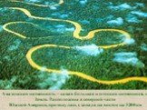 Амазонская низменность – самая большая и плоская низменность на Земле. Расположена в северной части Южной Америки, протянулась с запада на восток на 3200 км
