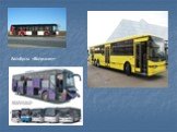 Автобусы «Волжанин»