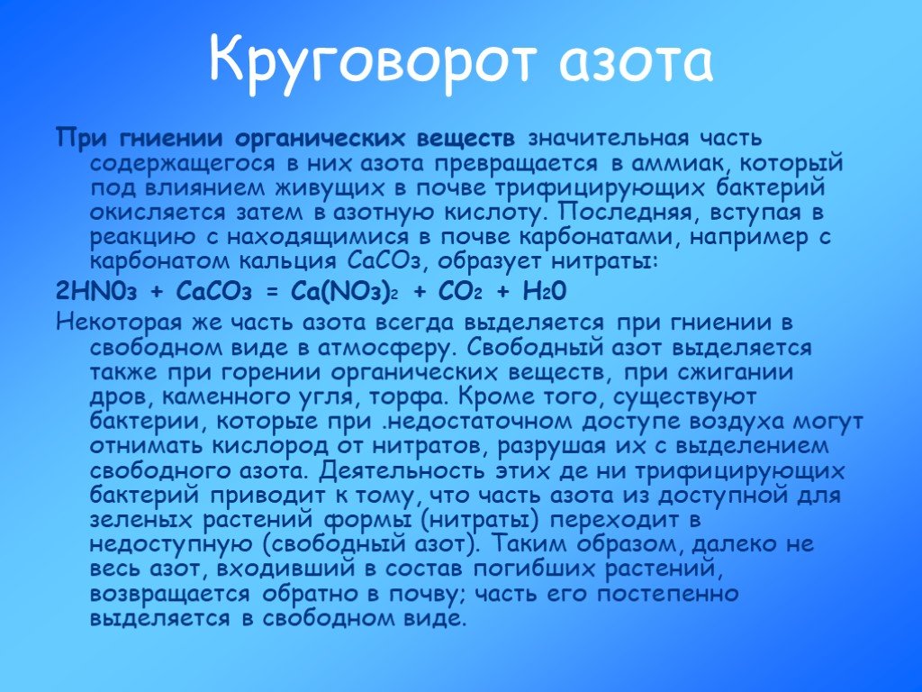 Презентация учение о биосфере 11 класс