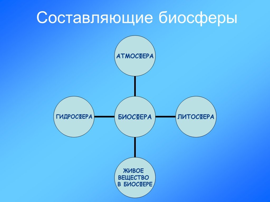 Учение о биосфере презентация 10 класс пономарева