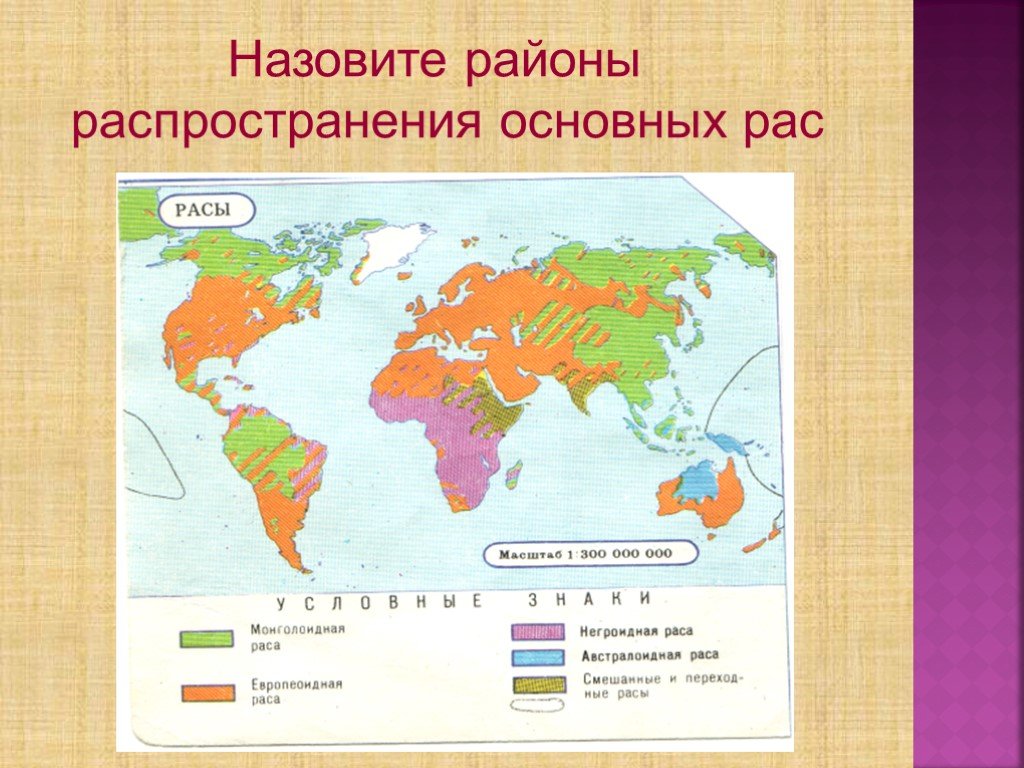 Распространение людей на земле 6 класс география. Карта расселения рас. Места расселения рас. Расы людей на карте. Распространение рас на земле.