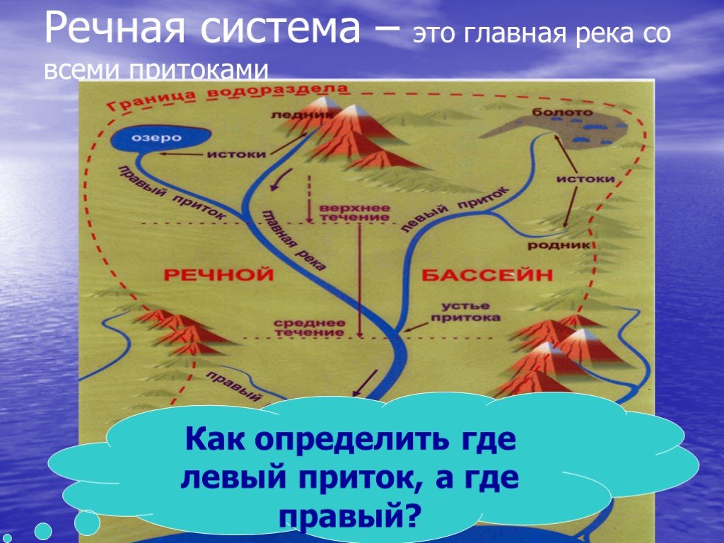 Главная река со всеми притоками. Речная система. Система Речной системы. Элементы Речной системы. Речная система реки.