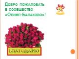 Добро пожаловать в сообщество «Олимп-Балаково»!