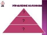 Управление колониями