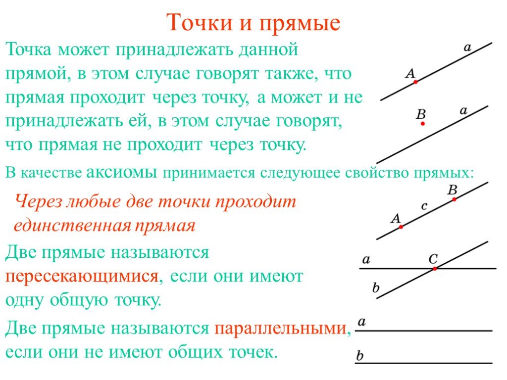 Какие 3 точки. Точки и прямые. Точки принадлежащие прямой. Точка и прямая. Две точки на прямой.