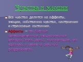 Чувства и эмоции. Все чувства делятся на аффекты, эмоции, собственно чувства, настроения и стрессовые состояния. Аффекты – это бурные кратковременные эмоциональные реакции (гнев, ужас), возникающие, как правило, в ответ на сильный раздражитель.