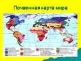 Почвенная карта мира
