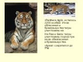 Panthera tigris осталось 3200 особей Из-за облесения и браконьерства тигры уничтожены на На Яве и Бали тигры уничтожены подчистую из-за обезлесения и браконьерства. Ареал сократился до 7%!