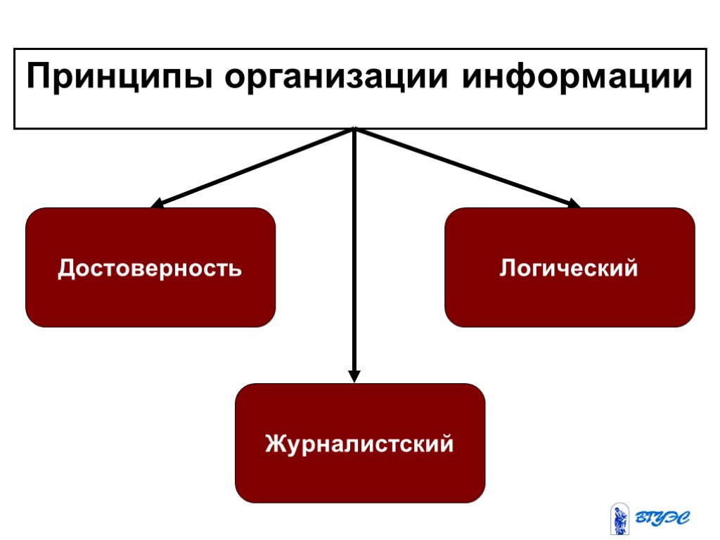 Принципы информации. Организация информации. Организационная информация. Информация об учреждении.