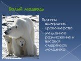 Белый медведь. Причины вымирания: Браконьерство Медленное размножение и высокая смертность молодняка