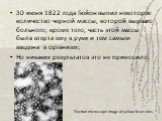 30 июня 1822 года Гюйон выпил некоторое количество черной массы, которой вырвало больного; кроме того, часть этой массы была втерта ему в руки и тем самым введена в организм; Но никаких результатов это не приносило. Electron microscope image of yellow fever virus.