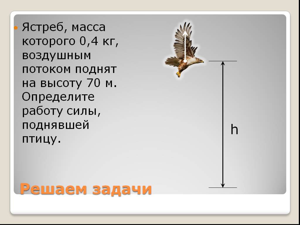 Какие тела обозначенные на рисунке цифрами обладают потенциальной энергией относительно земли птица