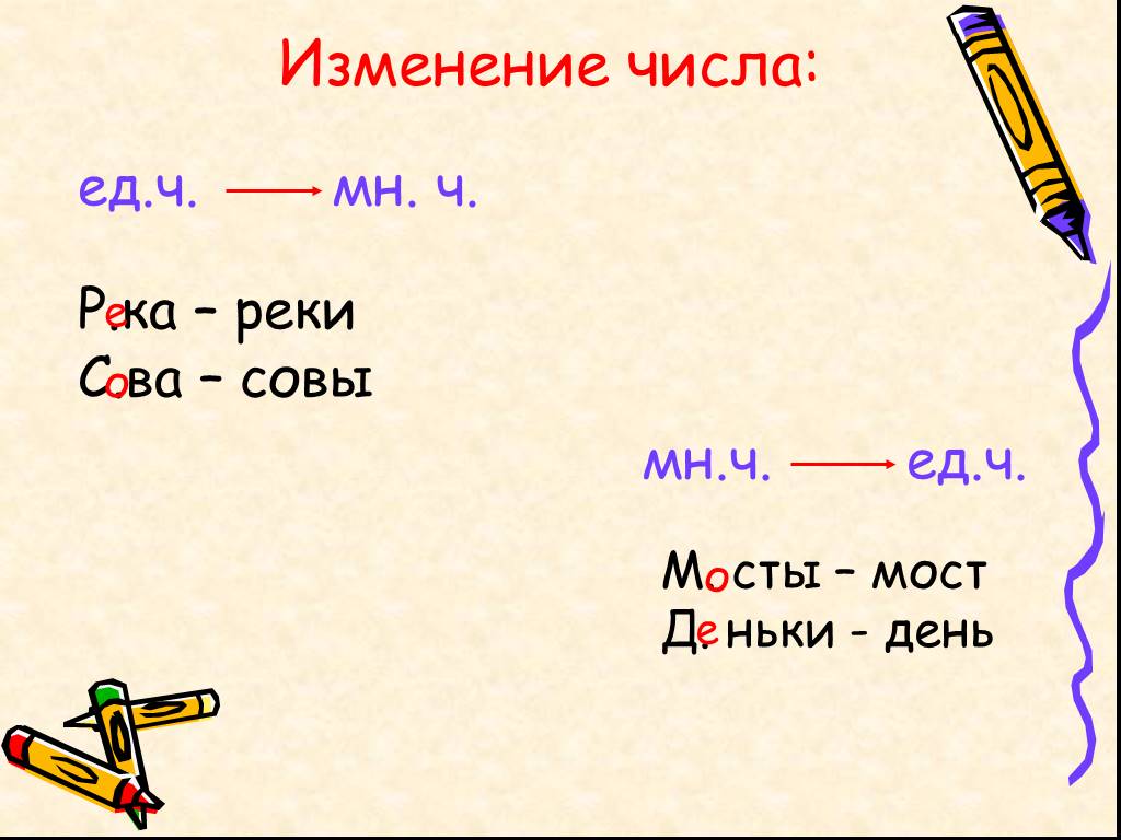 Ворота изменяется по числам. Ворота изменение по числам. Сова множественном числе. Корни в единственном числе.