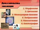 Морфология Цитология Молекулярная биология Эмбриология Палеонтология Биогеография